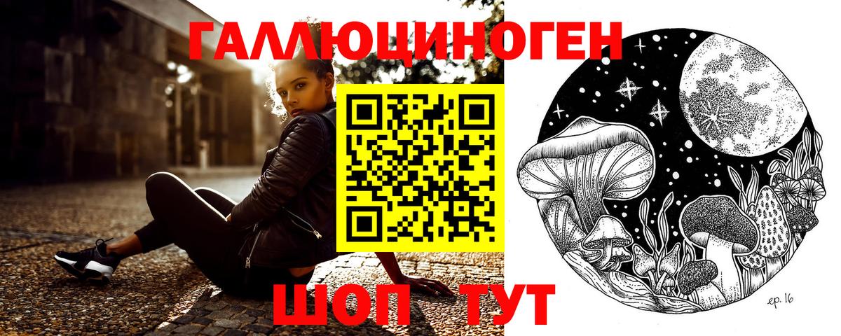 Баксан  Псилоцибиновые грибы мицелий  Вход с VPN 
