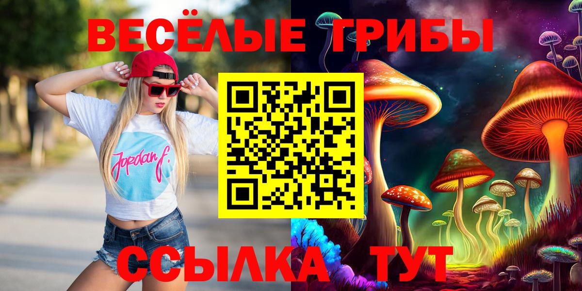 Псилоцибиновые грибы Cubensis Баксан